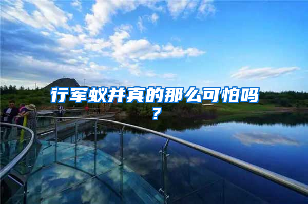 行軍蟻并真的那么可怕嗎？