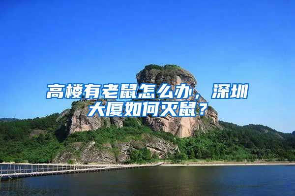 高樓有老鼠怎么辦，深圳大廈如何滅鼠？