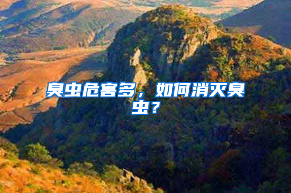 臭蟲(chóng)危害多，如何消滅臭蟲(chóng)？