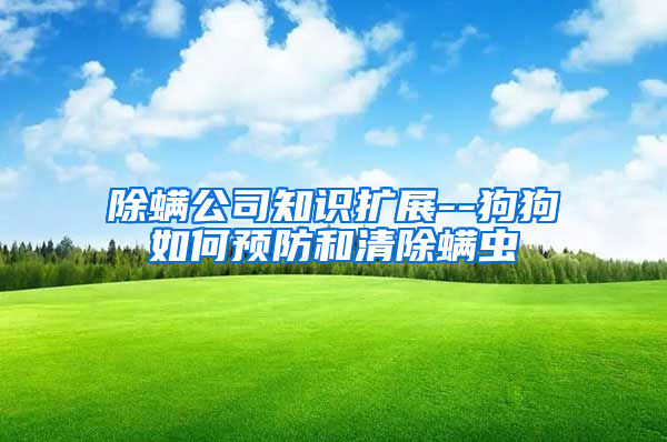 除螨公司知識擴(kuò)展--狗狗如何預(yù)防和清除螨蟲