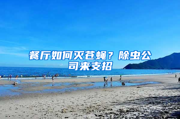 餐廳如何滅蒼蠅？除蟲公司來支招