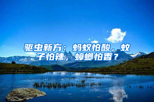 驅蟲新方：螞蟻怕酸，蚊子怕辣，蟑螂怕香？