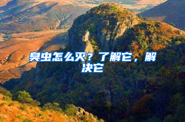 臭蟲怎么滅？了解它，解決它