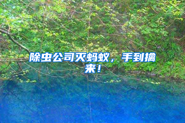 除蟲公司滅螞蟻，手到擒來(lái)！