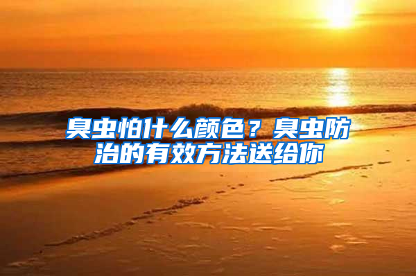 臭蟲怕什么顏色？臭蟲防治的有效方法送給你