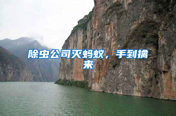 除蟲公司滅螞蟻，手到擒來