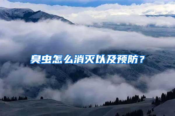 臭蟲(chóng)怎么消滅以及預(yù)防？